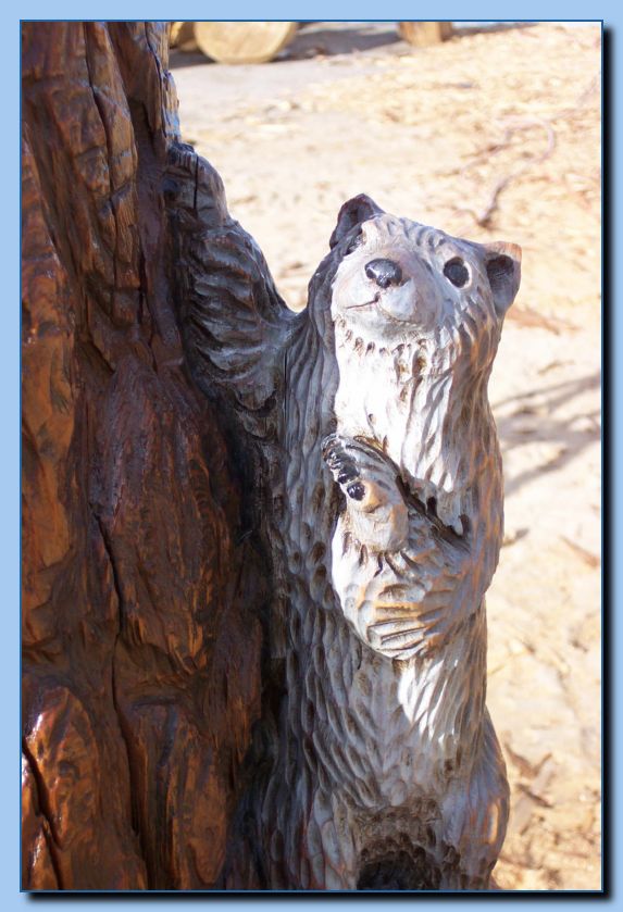 2-39 squirrel-archive-0002